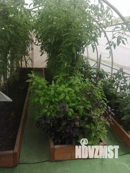 Дом 20м&sup2;, 2-этажный, участок 6 сот.  