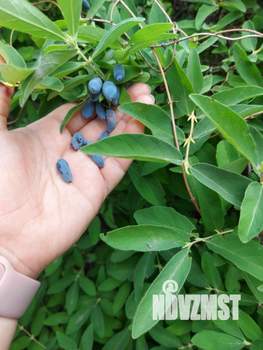 Дом 35м&sup2;, 2-этажный, участок 5 сот.  