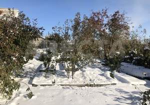 Дом 84м&sup2;, 1-этажный, участок 639 сот.  