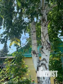 Дом 60м&sup2;, 2-этажный, участок 5 сот.  