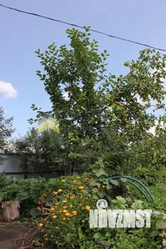 Дом 20м&sup2;, 1-этажный, участок 6 сот.  