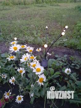 Дом 36м&sup2;, 1-этажный, участок 6 сот.  