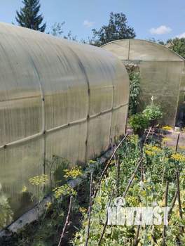 Дом 43м&sup2;, 2-этажный, участок 6 сот.  