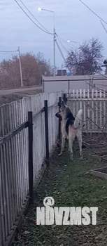 Дом 60м&sup2;, 1-этажный, участок 20 сот.  