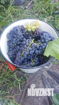 Дом 35м&sup2;, 2-этажный, участок 5 сот.  