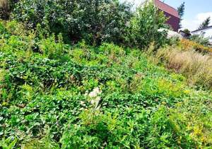 Дом 25м², 2-этажный, участок 392 сот.  