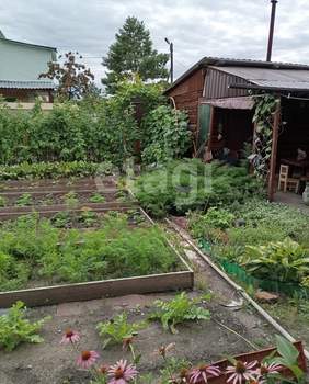 Дом 54м&sup2;, 2-этажный, участок 5 сот.  