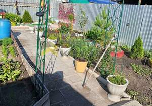 Дом 60м&sup2;, 1-этажный, участок 4 сот.  