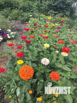 Дом 60м&sup2;, 2-этажный, участок 7 сот.  