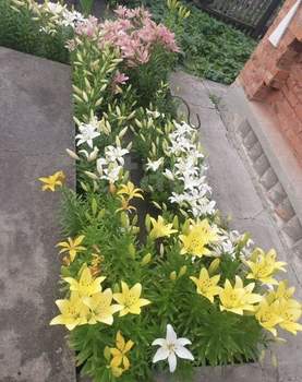 Дом 50м&sup2;, 2-этажный, участок 5 сот.  