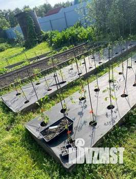 Дом 41м&sup2;, 2-этажный, участок 546 сот.  