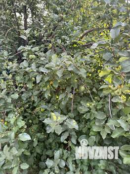 Дом 144м&sup2;, 2-этажный, участок 9 сот.  