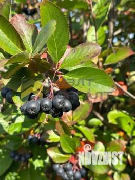 Дом 28м², 2-этажный, участок 6 сот.  