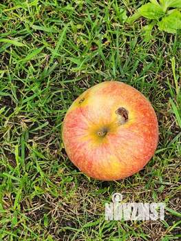 Дом 123м², 2-этажный, участок 6 сот.  