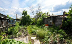 Дом 60м², 1-этажный, участок 3 сот.  