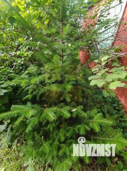 Дом 25м&sup2;, 1-этажный, участок 6 сот.  