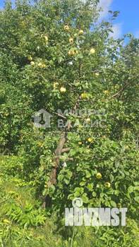 Дом 38м&sup2;, 2-этажный, участок 10 сот.  