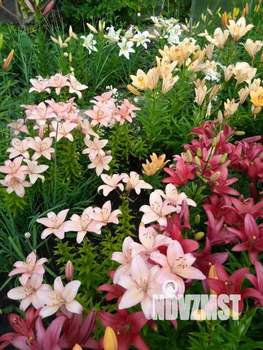 Дача 70м², 2-этажный, участок 6 сот.  