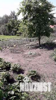 Дом 65м&sup2;, 2-этажный, участок 6 сот.  