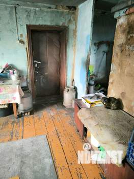 Дом 47м&sup2;, 1-этажный, участок 5 сот.  