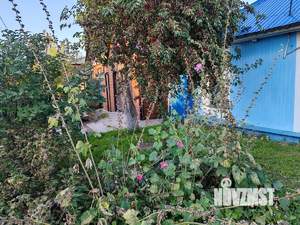 Дом 63м², 1-этажный, участок 6 сот.  