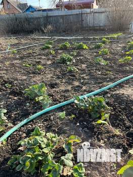 Дом 60м&sup2;, 2-этажный, участок 7 сот.  