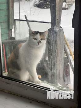 Дом 61м², 1-этажный, участок 3 сот.  