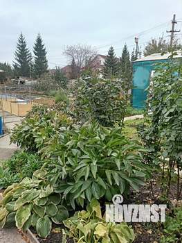 Коттедж 234м², 2-этажный, участок 9 сот.  