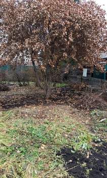 Дом 40м&sup2;, 2-этажный, участок 7 сот.  