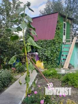 Дача 38м², 1-этажный, участок 4 сот.  