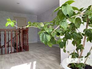 Дача 159м², 2-этажный, участок 5 сот.  