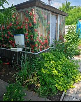 Дом 31м&sup2;, 1-этажный, участок 5 сот.  