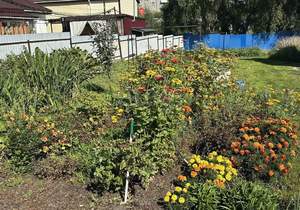 Дом 88м&sup2;, 1-этажный, участок 9 сот.  