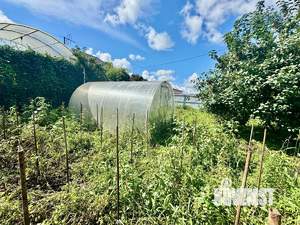 Дом 88м², 1-этажный, участок 7 сот.  