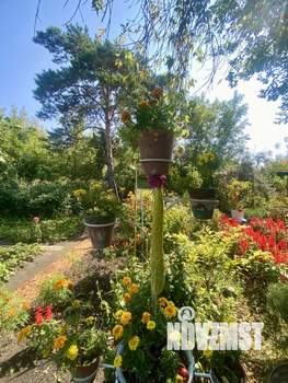 Дом 12м², 1-этажный, участок 7 сот.  