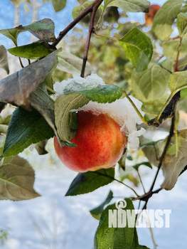 Дом 25м&sup2;, 2-этажный, участок 6 сот.  