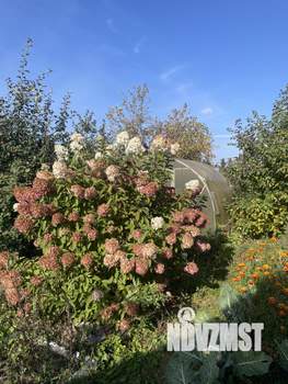 Дача 20м², 1-этажный, участок 6 сот.  