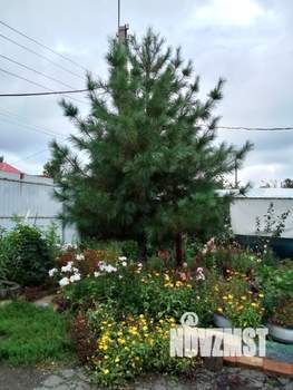 Дом 76м², 1-этажный, участок 4 сот.  