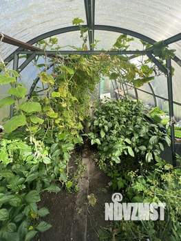 Дом 49м², 2-этажный, участок 5 сот.  