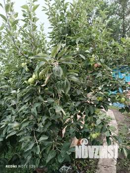 Дом 72м&sup2;, 2-этажный, участок 6 сот.  