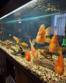 Дом 49м², 1-этажный, участок 2 сот.  