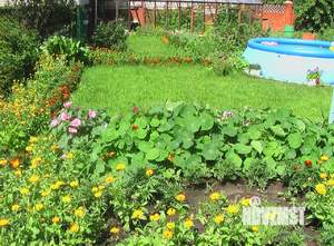 Коттедж 219м&sup2;, 3-этажный, участок 12 сот.  