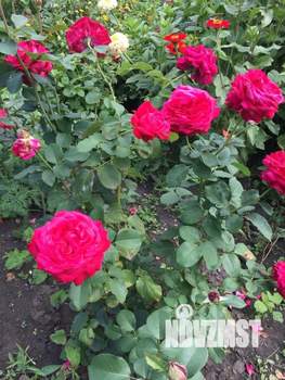 Дом 60м&sup2;, 2-этажный, участок 7 сот.  