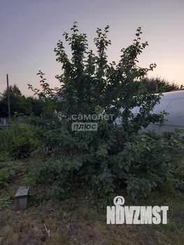 Дом 56м², 2-этажный, участок 5 сот.  