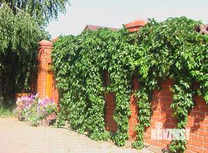 Коттедж 219м&sup2;, 3-этажный, участок 12 сот.  