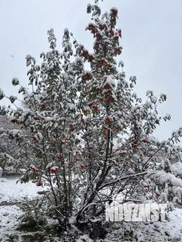 Дом 25м&sup2;, 2-этажный, участок 6 сот.  