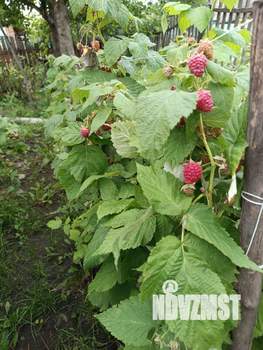 Дом 30м&sup2;, 2-этажный, участок 5 сот.  