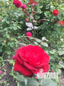 Дом 60м&sup2;, 2-этажный, участок 7 сот.  