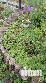 Дача 10м², 1-этажный, участок 5 сот.  