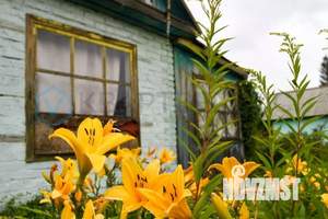 Дом 16м&sup2;, 1-этажный, участок 6 сот.  